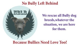 We rescue all Bully dog
breeds,whatever the
situation, we are here
for them.
NBLB
Because Bullies Need Love Too!
No Bully Left Behind
 