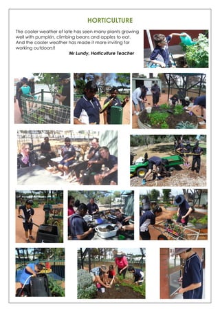 HORTICULTURE
The cooler weather of late has seen many plants growing
well with pumpkin, climbing beans and apples to eat.
And the cooler weather has made it more inviting for
working outdoors!!
Mr Lundy, Horticulture Teacher
 