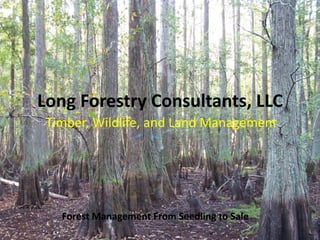 Long Forestry Consultants, LLC
Timber, Wildlife, and Land Management
Forest Management From Seedling to Sale
 