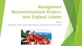 Management
Recommendations Project:
New England Lobster
Group II
Jade Bowins, Angela Caruso, Brad Goodman, Jessica Macer, and Jennifer Yeck
 