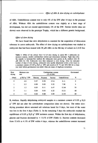 What is a dissertation image