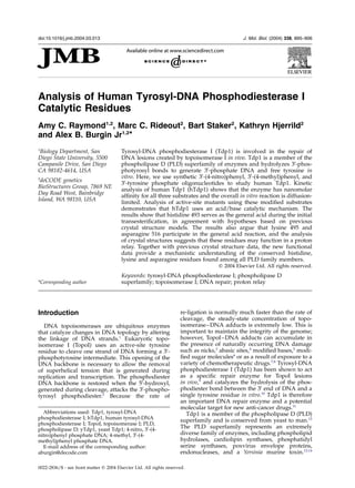 Analysis of Human Tyrosyl-DNA Phosphodiesterase I
Catalytic Residues
Amy C. Raymond1,2
, Marc C. Rideout2
, Bart Staker2
, Kathryn Hjerrild2
and Alex B. Burgin Jr1,2
*
1
Biology Department, San
Diego State University, 5500
Campanile Drive, San Diego
CA 98182-4614, USA
2
deCODE genetics
BioStructures Group, 7869 NE
Day Road West, Bainbridge
Island, WA 98110, USA
Tyrosyl-DNA phosphodiesterase I (Tdp1) is involved in the repair of
DNA lesions created by topoisomerase I in vivo. Tdp1 is a member of the
phospholipase D (PLD) superfamily of enzymes and hydrolyzes 30
-phos-
photyrosyl bonds to generate 30
-phosphate DNA and free tyrosine in
vitro. Here, we use synthetic 30
-(4-nitro)phenyl, 30
-(4-methyl)phenyl, and
30
-tyrosine phosphate oligonucleotides to study human Tdp1. Kinetic
analysis of human Tdp1 (hTdp1) shows that the enzyme has nanomolar
afﬁnity for all three substrates and the overall in vitro reaction is diffusion-
limited. Analysis of active-site mutants using these modiﬁed substrates
demonstrates that hTdp1 uses an acid/base catalytic mechanism. The
results show that histidine 493 serves as the general acid during the initial
transesteriﬁcation, in agreement with hypotheses based on previous
crystal structure models. The results also argue that lysine 495 and
asparagine 516 participate in the general acid reaction, and the analysis
of crystal structures suggests that these residues may function in a proton
relay. Together with previous crystal structure data, the new functional
data provide a mechanistic understanding of the conserved histidine,
lysine and asparagine residues found among all PLD family members.
q 2004 Elsevier Ltd. All rights reserved.
Keywords: tyrosyl-DNA phosphodiesterase I; phospholipase D
superfamily; topoisomerase I; DNA repair; proton relay*Corresponding author
Introduction
DNA topoisomerases are ubiquitous enzymes
that catalyze changes in DNA topology by altering
the linkage of DNA strands.1
Eukaryotic topo-
isomerase I (TopoI) uses an active-site tyrosine
residue to cleave one strand of DNA forming a 30
-
phosphotyrosine intermediate. This opening of the
DNA backbone is necessary to allow the removal
of superhelical tension that is generated during
replication and transcription. The phosphodiester
DNA backbone is restored when the 50
-hydroxyl,
generated during cleavage, attacks the 30
-phospho-
tyrosyl phosphodiester.2
Because the rate of
re-ligation is normally much faster than the rate of
cleavage, the steady-state concentration of topo-
isomerase–DNA adducts is extremely low. This is
important to maintain the integrity of the genome;
however, TopoI–DNA adducts can accumulate in
the presence of naturally occurring DNA damage
such as nicks,3
abasic sites,4
modiﬁed bases,5
modi-
ﬁed sugar molecules6
or as a result of exposure to a
variety of chemotherapeutic drugs.7,8
Tyrosyl-DNA
phosphodiesterase I (Tdp1) has been shown to act
as a speciﬁc repair enzyme for TopoI lesions
in vivo,9
and catalyzes the hydrolysis of the phos-
phodiester bond between the 30
end of DNA and a
single tyrosine residue in vitro.10
Tdp1 is therefore
an important DNA repair enzyme and a potential
molecular target for new anti-cancer drugs.11
Tdp1 is a member of the phospholipase D (PLD)
superfamily and is conserved from yeast to man.12
The PLD superfamily represents an extremely
diverse family of enzymes, including phospholipid
hydrolases, cardiolipin synthases, phosphatidyl
serine synthases, poxvirus envelope proteins,
endonucleases, and a Yersinia murine toxin.13,14
0022-2836/$ - see front matter q 2004 Elsevier Ltd. All rights reserved.
E-mail address of the corresponding author:
aburgin@decode.com
Abbreviations used: Tdp1, tyrosyl-DNA
phosphodiesterase I; hTdp1, human tyrosyl-DNA
phosphodiesterase I; TopoI, topoisomerase I; PLD,
phospholipase D; yTdp1, yeast Tdp1; 4-nitro, 30
-(4-
nitro)phenyl phosphate DNA; 4-methyl, 30
-(4-
methyl)phenyl phosphate DNA.
doi:10.1016/j.jmb.2004.03.013 J. Mol. Biol. (2004) 338, 895–906
 