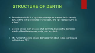 STRUCTURE OF DENTIN
 Enamel contains 90% of hydroxyapatite crystals whereas dentin has only
50% and the rest is constituted by water(25%) and type I collagen(25% by
volume).
 Dentinal tubules exert pressure of 25-30mmHg, thus creating decreased
stability of bond between composite resin and dentin.
 The number of dentinal tubules decreases from about 45000 near the pulp
to 20000 near DEJ
 