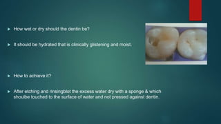  How wet or dry should the dentin be?
 It should be hydrated that is clinically glistening and moist.
 How to achieve it?
 After etching and rinsingblot the excess water dry with a sponge & which
shoulbe touched to the surface of water and not pressed against dentin.
 