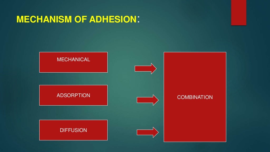 dentin bonding agents