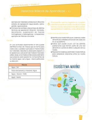 Derechos Básicos de Aprendizaje • V.1
17
ejemplos de materiales cotidianos en diferentes
estados de agregación (agua-aceite, arena-
gravilla, agua-piedras).
q	Compara las ventajas y desventajas de distintas
técnicas de separación (filtración, tamizado,
decantación, evaporación) de mezclas
homogéneas y heterogéneas, considerando
ejemplos de mezclas concretas.
	
Ejemplo
En una actividad experimental el niño puede
identificar el tipo de mezcla que se formó para
cada caso, y predecir qué pasa si mezcla todos
los materiales. Describe lo observado respecto a
la apariencia y ubicación del material mezclado
(arriba, abajo, en el medio) e indica el procedimiento
que propone para separar los componentes de
la mezcla agua –sal y Agua - Arena justificando
su elección.
Mezcla
	 Agua - Sal
	 Trozos de banano y manzana -Agua
	 Agua – Azúcar - Café
	 Agua - Arena
6.
Comprende que los organismos cumplen
distintas funciones en cada uno de los niveles
tróficos y que las relaciones entre ellos pueden
representarse en cadenas y redes alimenticias.
Evidencias de aprendizaje
q	Identifica los niveles tróficos en cadenas y redes
alimenticias y establece la función de cada uno
en un ecosistema.
q	Indica qué puede ocurrir con las distintas
poblaciones que forman parte de una red
alimenticia cuando se altera cualquiera de sus
niveles.
q	Representa cadenas, pirámides o redes tróficas
para establecer relaciones entre los niveles
tróficos.
Ejemplo
Ciencias Naturales • Grado 4º
CienciasNaturales DBA_Final.indd 17 12/10/16 3:16 p.m.
 