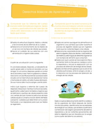Derechos Básicos de Aprendizaje • V.1
20
4.
Comprende que en los seres humanos (y en
muchos otros animales) la nutrición involucra
el funcionamiento integrado de un conjunto
de sistemas de órganos: digestivo, respiratorio
y circulatorio.
Evidencias de aprendizaje
q	Explica el camino que siguen los alimentos en el
organismo y los cambios que sufren durante el
proceso de digestión desde que son ingeridos
hasta que los nutrientes llegan a las células.
q	Relaciona las características de los órganos del
sistema digestivo (tipos de dientes, características
de intestinos y estómagos) de diferentes organismos
con los tipos de alimento que consumen.
q	Explica por qué cuando se hace ejercicio físico
aumentan tanto la frecuencia cardíaca como
la respiratoria y vincula la explicación con los
procesos de obtención de energía de las células.
q	Explica el intercambio gaseoso que ocurre en los
alvéolos pulmonares, entre la sangre y el aire, y
lo relaciona con los procesos de obtención de
energía de las células.
Ejemplo
Explica a qué se debe el aumento del ritmo cardiaco
de los jugadores de fútbol después de treinta
minutos de partido, identificando las necesidades
de energía en sus células, que se libera a partir de la
combinación del oxígeno (proveniente del sistema
respiratorio) y de los nutrientes (provenientes del
sistema digestivo) que son llevados por la sangre
(como parte del sistema circulatorio).
3.
Comprende que los sistemas del cuerpo
humano están formados por órganos, tejidos
y células y que la estructura de cada tipo de
célula está relacionada con la función del
tejido que forman.
Evidencias de aprendizaje
q	Explica la estructura (órganos, tejidos y células)
y las funciones de los sistemas de su cuerpo.
q	Relaciona el funcionamiento de los tejidos de
un ser vivo con los tipos de células que posee.
q	Asocia el cuidado de sus sistemas con una
alimentación e higiene adecuadas.
Ejemplo
A partir de una situación como la siguiente:
En una tarde soleada, Alejandro, un estudiante de
quinto grado salió a montar en bicicleta con sus
amigos. En el camino Alejandro perdió el control
de su bicicleta y cayó. Para no golpear su cabeza,
reaccionó con prontitud poniendo sus brazos sobre
el suelo con la mala fortuna de rasparse las manos
y fracturarse el cúbito y el radio (huesos del brazo).
De sus manos salía mucha sangre y sentía dolor.
Indica qué órganos y sistemas del cuerpo de
Alejandro interactúan mientras monta en bicicleta;
igualmente cuáles fueron los tejidos y órganos que
se lastimaron y qué tipo de células presenta cada
uno; señala de qué manera la estructura de esas
células ayuda a cumplir su función dentro del tejido
y propone cuidados que debe tener con su brazo
fracturado y sus raspaduras para que sus tejidos
se regeneren.
Ciencias Naturales • Grado 5º
CienciasNaturales DBA_Final.indd 20 12/10/16 3:16 p.m.
 