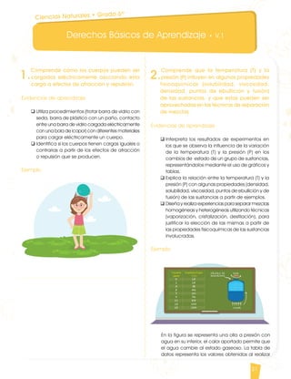 Derechos Básicos de Aprendizaje • V.1
21
1.
Comprende cómo los cuerpos pueden ser
cargados eléctricamente asociando esta
carga a efectos de atracción y repulsión.
Evidencias de aprendizaje
q	Utiliza procedimientos (frotar barra de vidrio con
seda, barra de plástico con un paño, contacto
entre una barra de vidrio cargada eléctricamente
con una bola de icopor) con diferentes materiales
para cargar eléctricamente un cuerpo.
q	Identifica si los cuerpos tienen cargas iguales o
contrarias a partir de los efectos de atracción
o repulsión que se producen.
	
Ejemplo
2.
Comprende que la temperatura (T) y la
presión (P) influyen en algunas propiedades
fisicoquímicas (solubilidad, viscosidad,
densidad, puntos de ebullición y fusión)
de las sustancias, y que estas pueden ser
aprovechadas en las técnicas de separación
de mezclas.
Evidencias de aprendizaje
q	Interpreta los resultados de experimentos en
los que se observa la influencia de la variación
de la temperatura (T) y la presión (P) en los
cambios de estado de un grupo de sustancias,
representándolos mediante el uso de gráficos y
tablas.
q	Explica la relación entre la temperatura (T) y la
presión (P) con algunas propiedades (densidad,
solubilidad, viscosidad, puntos de ebullición y de
fusión) de las sustancias a partir de ejemplos.
q	Diseña y realiza experiencias para separar mezclas
homogéneas y heterogéneas utilizando técnicas
(vaporización, cristalización, destilación), para
justificar la elección de las mismas a partir de
las propiedades fisicoquímicas de las sustancias
involucradas.
Ejemplo
En la figura se representa una olla a presión con
agua en su interior, el calor aportado permite que
el agua cambie al estado gaseoso. La tabla de
datos representa los valores obtenidos al realizar
Ciencias Naturales • Grado 6º
CienciasNaturales DBA_Final.indd 21 12/10/16 3:16 p.m.
 