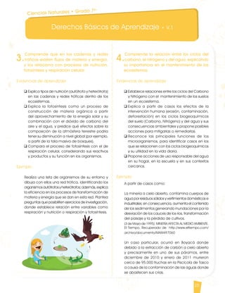 Derechos Básicos de Aprendizaje • V.1
25
3.
Comprende que en las cadenas y redes
tróficas existen flujos de materia y energía,
y los relaciona con procesos de nutrición,
fotosíntesis y respiración celular.
Evidencias de aprendizaje
q	Explica tipos de nutrición (autótrofa y heterótrofa)
en las cadenas y redes tróficas dentro de los
ecosistemas.
q	Explica la fotosíntesis como un proceso de
construcción de materia orgánica a partir
del aprovechamiento de la energía solar y su
combinación con el dióxido de carbono del
aire y el agua, y predice qué efectos sobre la
composición de la atmósfera terrestre podría
tener su disminución a nivel global (por ejemplo,
a partir de la tala masiva de bosques).
q	Compara el proceso de fotosíntesis con el de
respiración celular, considerando sus reactivos
y productos y su función en los organismos.
	
Ejemplo
Realiza una lista de organismos de su entorno y
dibuja con ellos una red trófica, identificando los
organismosautótrofosyheterótrofos;además,explica
la eficiencia en los procesos de transformación de
materia y energía que se dan en esta red. Plantea
preguntas que posibiliten ejercicios de investigación,
donde establece relación entre variables como
respiración y nutrición o respiración y fotosíntesis.
4.
Comprende la relación entre los ciclos del
carbono, el nitrógeno y del agua, explicando
su importancia en el mantenimiento de los
ecosistemas.
Evidencias de aprendizaje
q	Establece relaciones entre los ciclos del Carbono
y Nitrógeno con el mantenimiento de los suelos
en un ecosistema.
q	Explica a partir de casos los efectos de la
intervención humana (erosión, contaminación,
deforestación) en los ciclos biogeoquímicos
del suelo (Carbono, Nitrógeno) y del agua y sus
consecuencias ambientales y propone posibles
acciones para mitigarlas o remediarlas.
q	Reconoce las principales funciones de los
microorganismos, para identificar casos en los
que se relacionen con los ciclos biogeoquímicos
y su utilidad en la vida diaria.
q	Propone acciones de uso responsable del agua
en su hogar, en la escuela y en sus contextos
cercanos.
Ejemplo
A partir de casos como:
La minería a cielo abierto, contamina cuerpos de
agua por residuos sólidos y vertimientos domésticos e
industriales; en consecuencia, aumenta el contenido
de los sedimentos generando inundaciones por la
desviación de los cauces de los ríos, transformación
del paisaje y la pérdida de cultivos.
(3 de Mayo de 1995). MINERÍA AFECTA AL MEDIO AMBIENTE.
El Tiempo. Recuperado de http://www.eltiempo.com/
archivo/documento/MAM497060
Un caso particular, ocurrió en Boyacá donde
debido a la extracción de carbón a cielo abierto
y precisamente en uno de sus páramos, entre
diciembre de 2010 y enero de 2011 murieron
cerca de 95.000 truchas en la Piscícola de Tasco
a causa de la contaminación de las aguas donde
se abastecen sus crías.
Ciencias Naturales • Grado 7º
CienciasNaturales DBA_Final.indd 25 12/10/16 3:16 p.m.
 