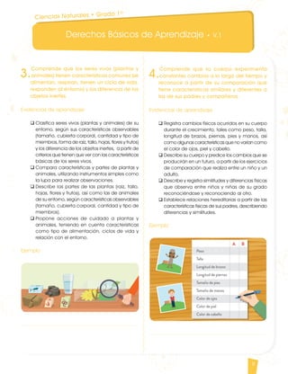 Derechos Básicos de Aprendizaje • V.1
9
3.
Comprende que los seres vivos (plantas y
animales) tienen características comunes (se
alimentan, respiran, tienen un ciclo de vida,
responden al entorno) y los diferencia de los
objetos inertes.
Evidencias de aprendizaje
q	Clasifica seres vivos (plantas y animales) de su
entorno, según sus características observables
(tamaño, cubierta corporal, cantidad y tipo de
miembros, forma de raíz, tallo, hojas, flores y frutos)
y los diferencia de los objetos inertes, a partir de
criterios que tienen que ver con las características
básicas de los seres vivos.
q	Compara características y partes de plantas y
animales, utilizando instrumentos simples como
la lupa para realizar observaciones.
q	Describe las partes de las plantas (raíz, tallo,
hojas, flores y frutos), así como las de animales
de su entorno, según características observables
(tamaño, cubierta corporal, cantidad y tipo de
miembros).
q	Propone acciones de cuidado a plantas y
animales, teniendo en cuenta características
como tipo de alimentación, ciclos de vida y
relación con el entorno.
Ejemplo
4.
Comprende que su cuerpo experimenta
constantes cambios a lo largo del tiempo y
reconoce a partir de su comparación que
tiene características similares y diferentes a
las de sus padres y compañeros.
Evidencias de aprendizaje
q	Registra cambios físicos ocurridos en su cuerpo
durante el crecimiento, tales como peso, talla,
longitud de brazos, piernas, pies y manos, así
como algunas características que no varían como
el color de ojos, piel y cabello.
q	Describe su cuerpo y predice los cambios que se
producirán en un futuro, a partir de los ejercicios
de comparación que realiza entre un niño y un
adulto.
q	Describe y registra similitudes y diferencias físicas
que observa entre niños y niñas de su grado
reconociéndose y reconociendo al otro.
q	Establece relaciones hereditarias a partir de las
características físicas de sus padres, describiendo
diferencias y similitudes.
Ejemplo
Ciencias Naturales • Grado 1º
CienciasNaturales DBA_Final.indd 9 12/10/16 3:15 p.m.
 
