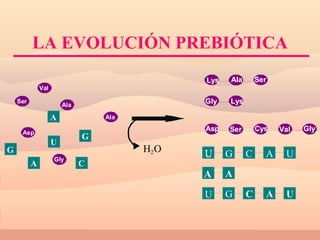 LA EVOLUCIÓN PREBIÓTICA 