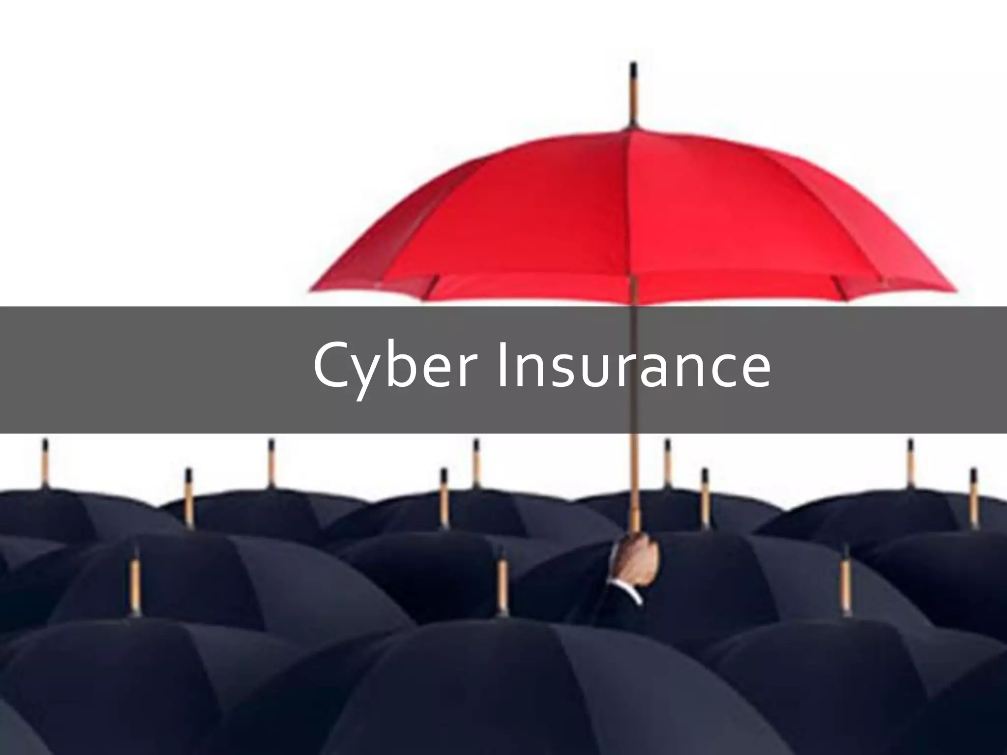 Cyber Insurance
 