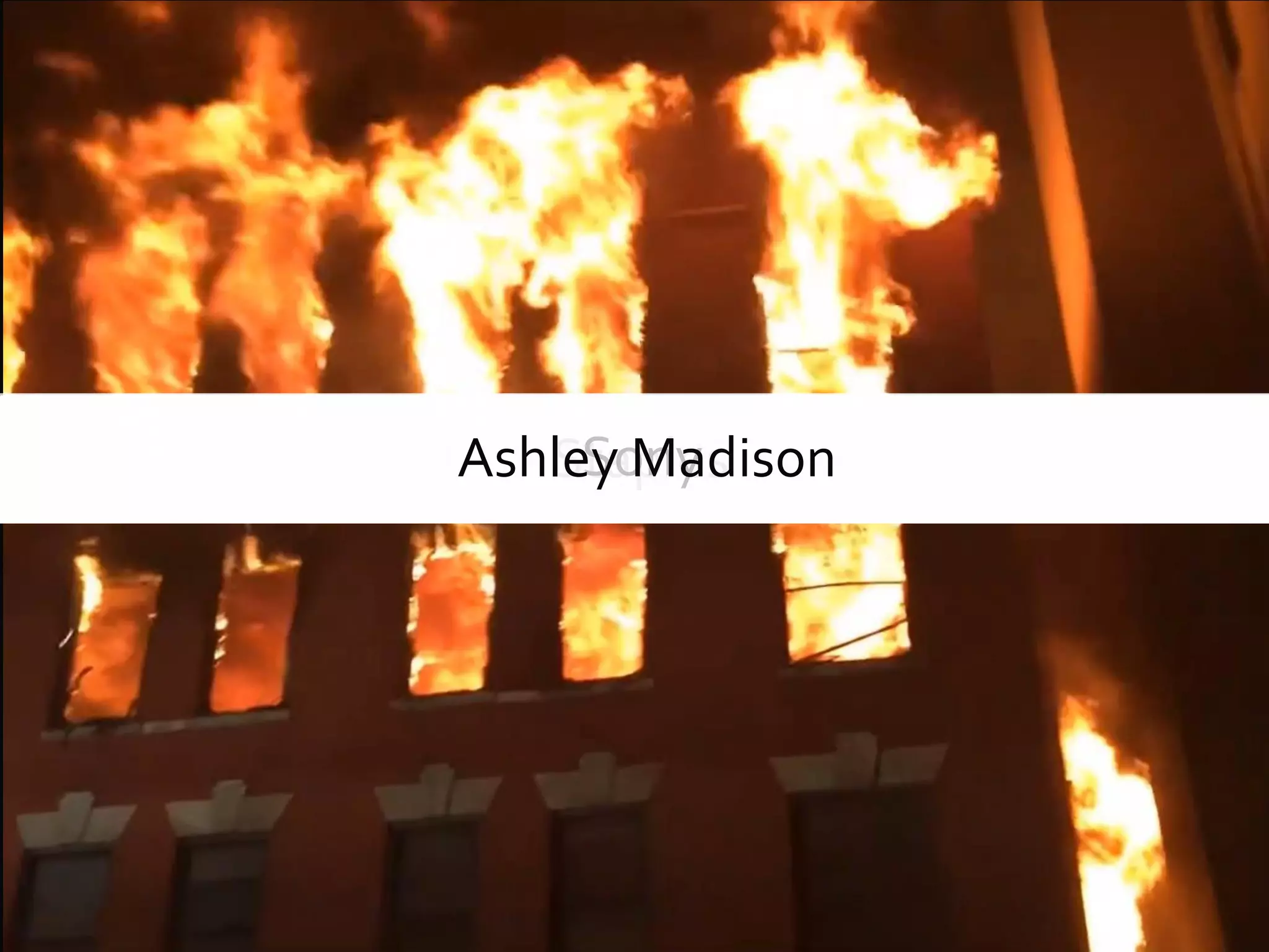 TargetHome DepotNeiman MarcusMichael’sSpecsTJ MaxxeBaySally BeautyPF Chang’sUPSDairy QueenJimmy John’sJP Morgan ChaseKmartStaplesSonyAshley Madison
 