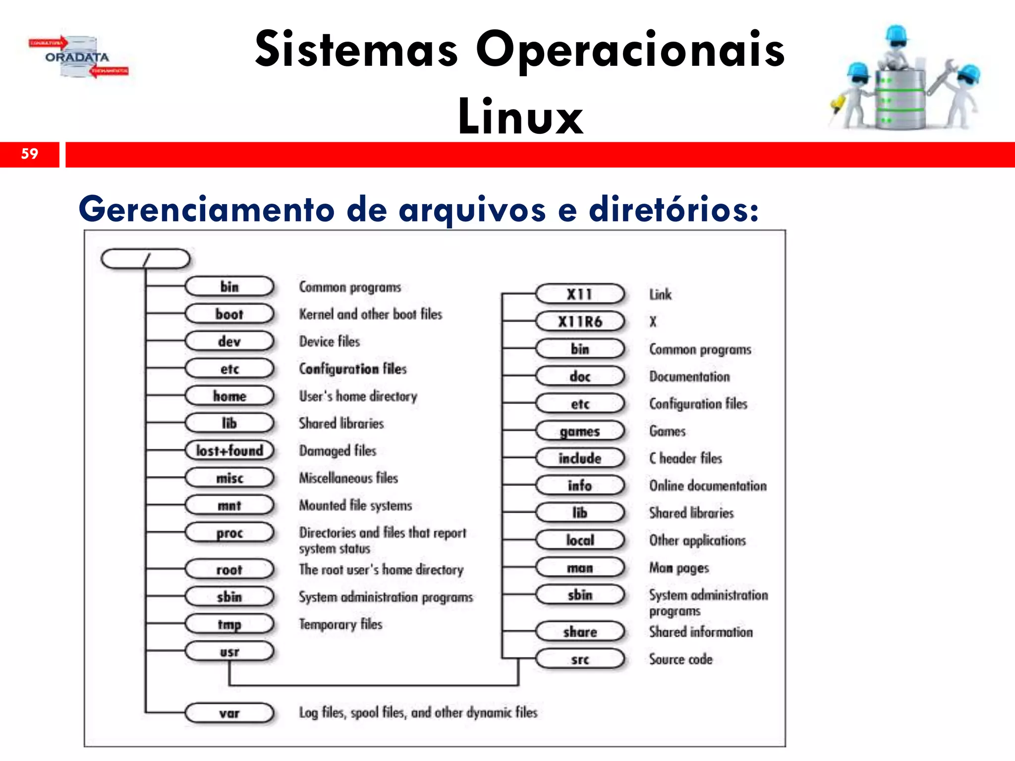 Sistemas Operacionais
Linux59
Gerenciamento de arquivos e diretórios:
 