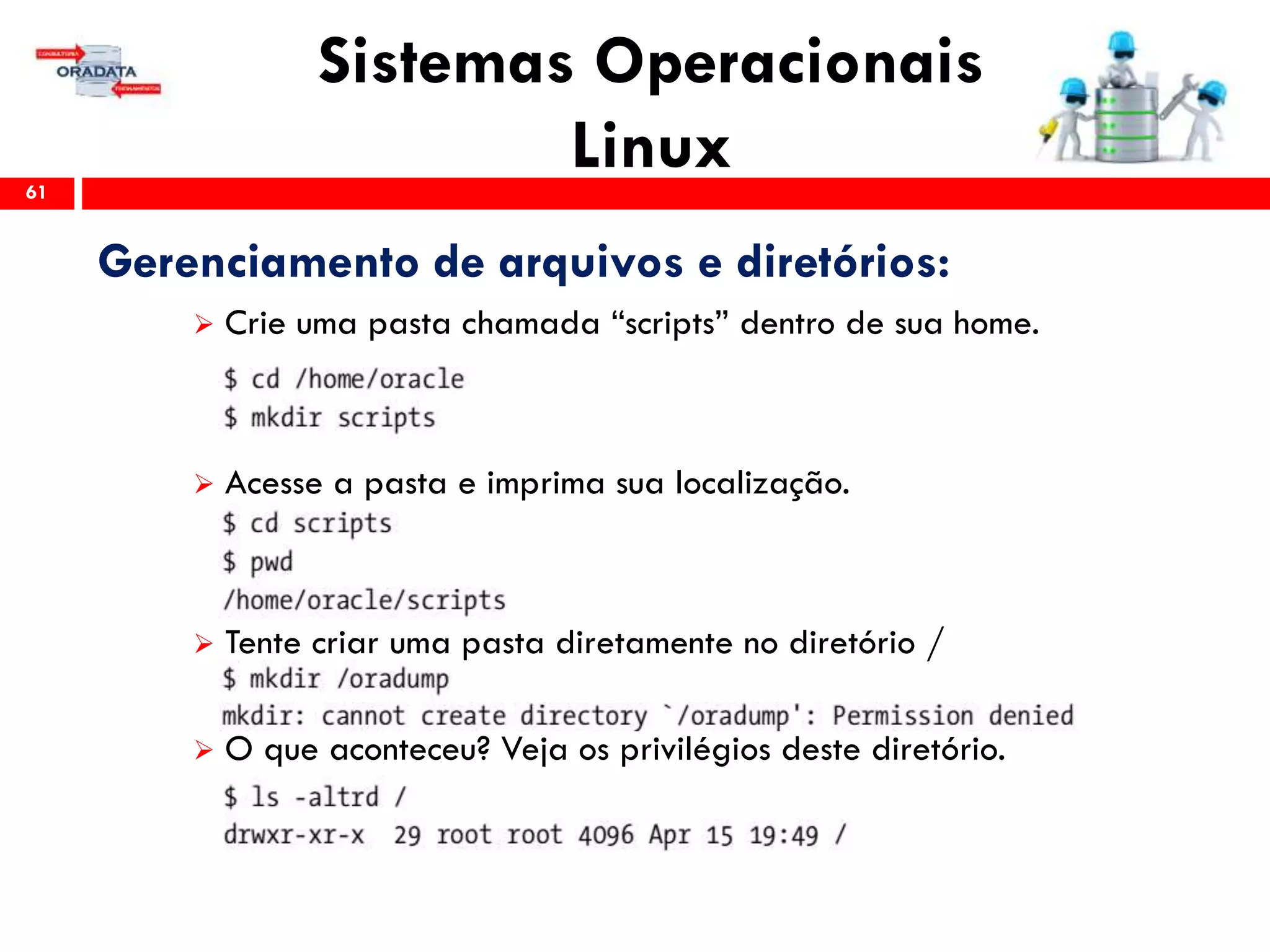 Sistemas Operacionais
Linux61
Gerenciamento de arquivos e diretórios:
 Crie uma pasta chamada “scripts” dentro de sua home.
 Acesse a pasta e imprima sua localização.
 Tente criar uma pasta diretamente no diretório /
 O que aconteceu? Veja os privilégios deste diretório.
 