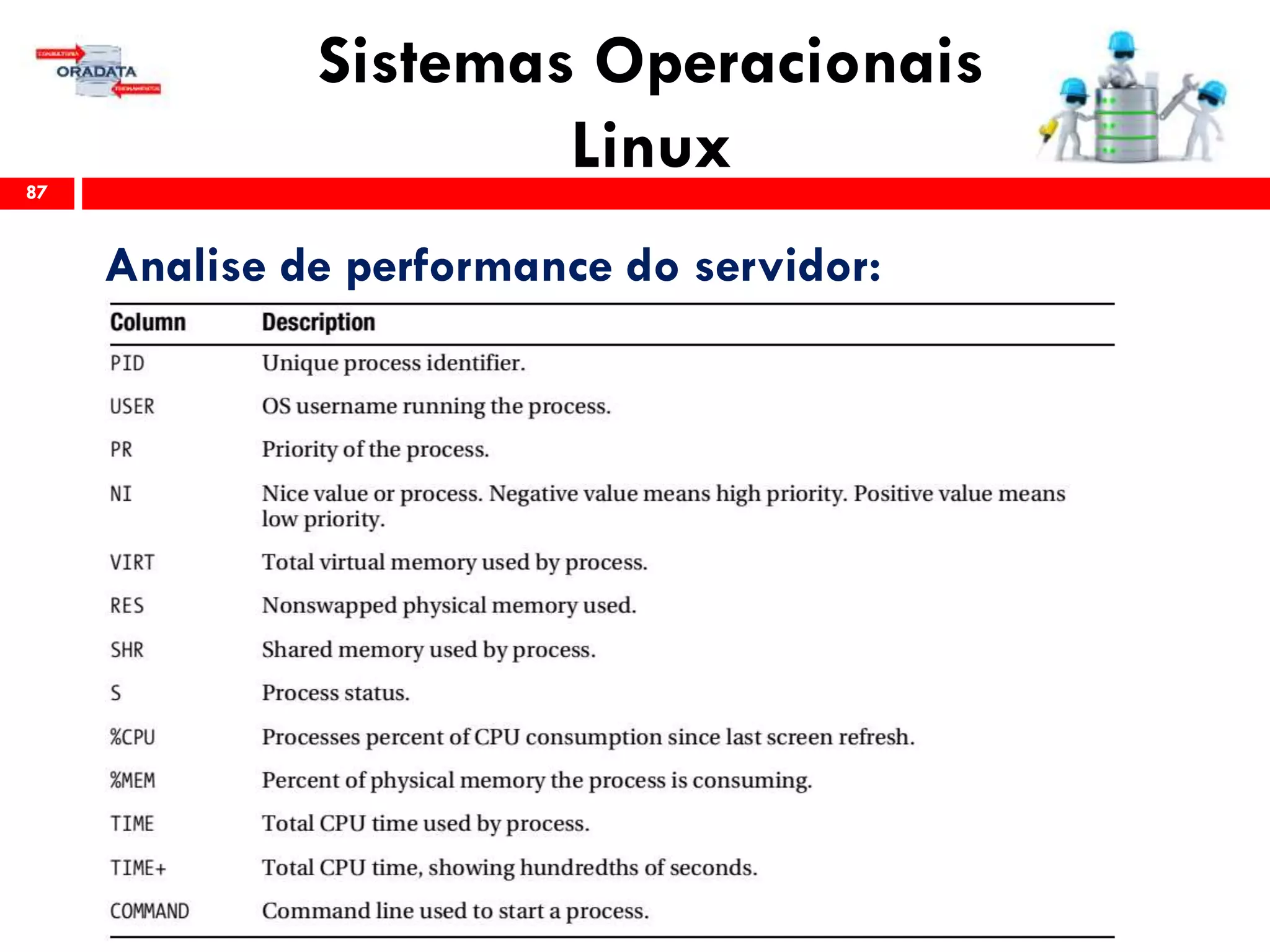 Sistemas Operacionais
Linux87
Analise de performance do servidor:
 