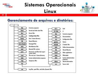 Sistemas Operacionais
Linux59
Gerenciamento de arquivos e diretórios:
 