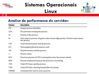Sistemas Operacionais
Linux87
Analise de performance do servidor:
 