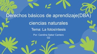 Derechos básicos de aprendizaje(DBA)
ciencias naturales
Tema: La fotosíntesis
Por: Carolina Saker Cantero
G2
 