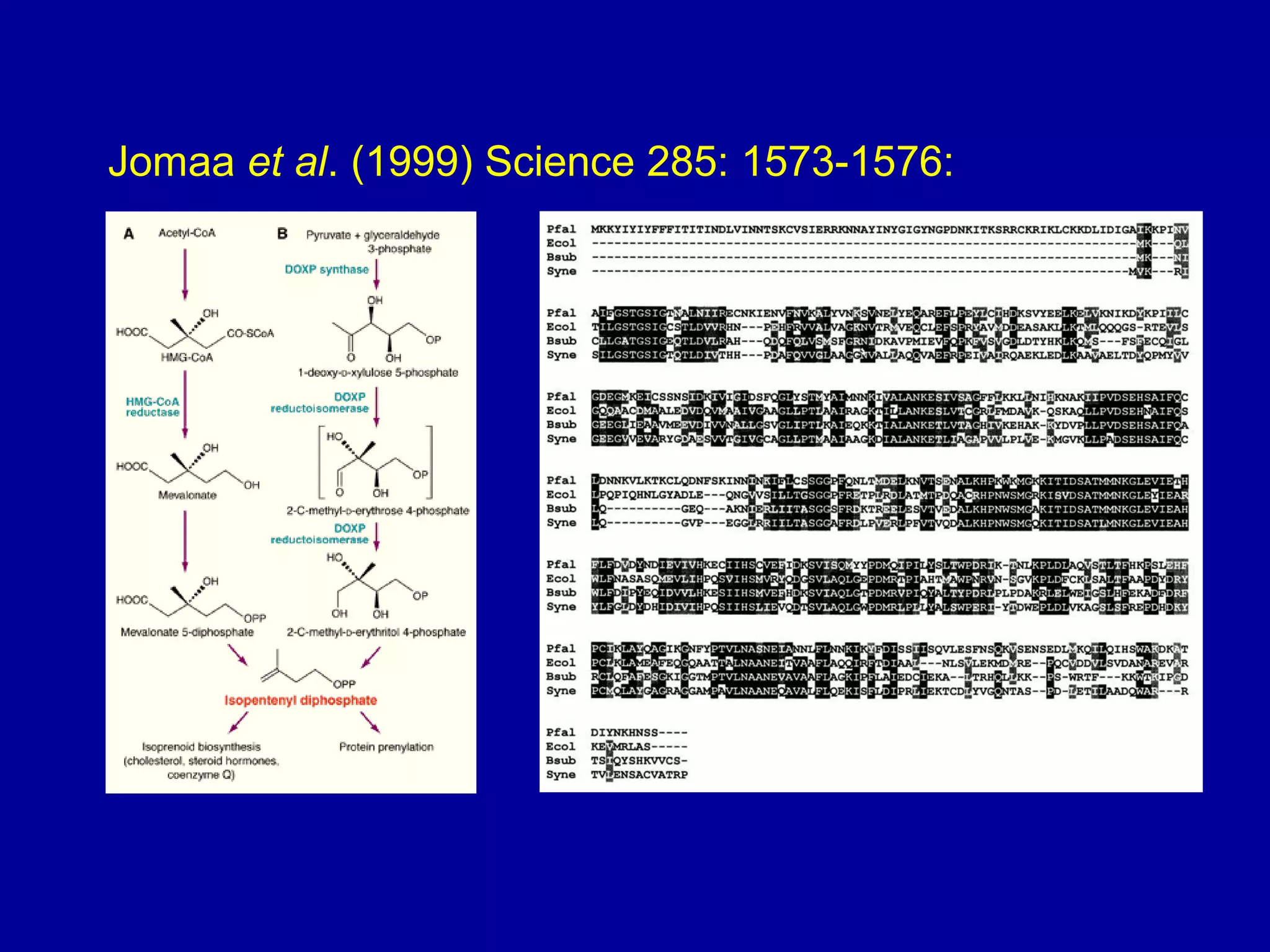 Jomaa et al. (1999) Science 285: 1573-1576: 
 