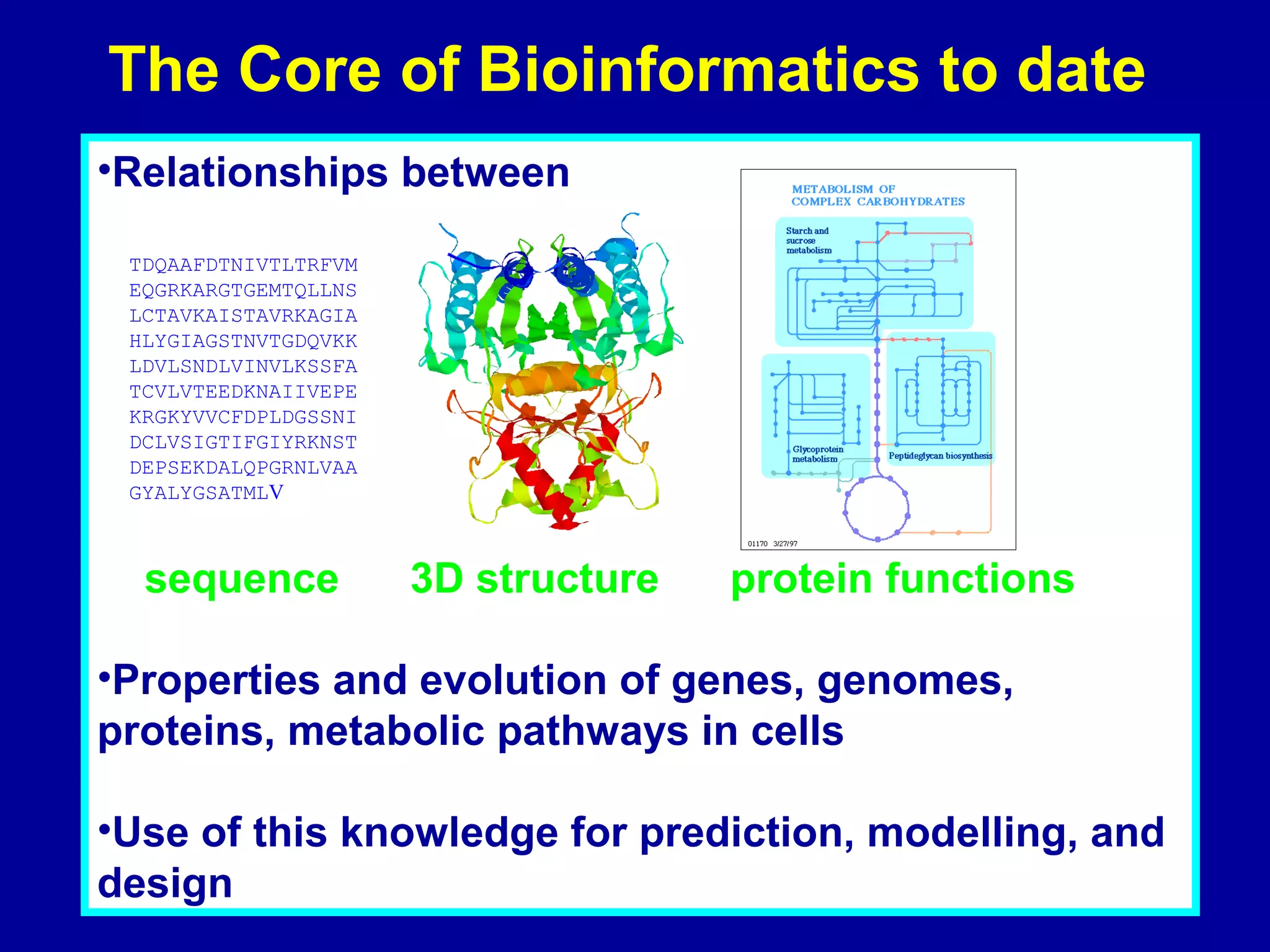 The Core of Bioinformatics to date 
•Relationships between 
TDQAAFDTNIVTLTRFVM 
EQGRKARGTGEMTQLLNS 
LCTAVKAISTAVRKAGIA 
HLYGIAGSTNVTGDQVKK 
LDVLSNDLVINVLKSSFA 
TCVLVTEEDKNAIIVEPE 
KRGKYVVCFDPLDGSSNI 
DCLVSIGTIFGIYRKNST 
DEPSEKDALQPGRNLVAA 
GYALYGSATMLV 
sequence 3D structure protein functions 
•Properties and evolution of genes, genomes, 
proteins, metabolic pathways in cells 
•Use of this knowledge for prediction, modelling, and 
design 
 