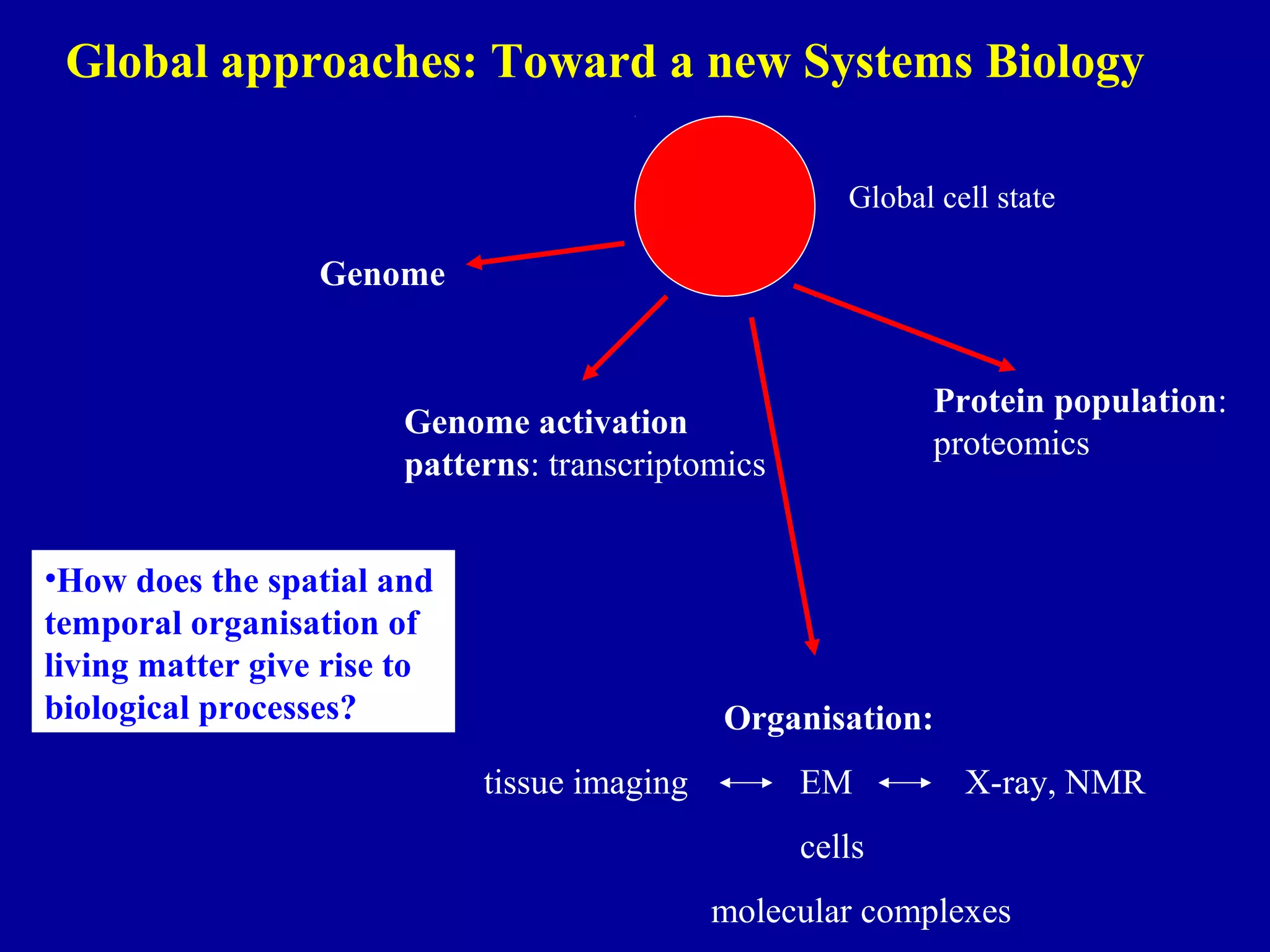 Global approaches: Toward a new Systems Biology 
Global cell state 
Genome 
Genome activation 
patterns: transcriptomics 
Protein population: 
proteomics 
Organisation: 
tissue imaging EM X-ray, NMR 
cells 
molecular complexes 
•How does the spatial and 
temporal organisation of 
living matter give rise to 
biological processes? 
 