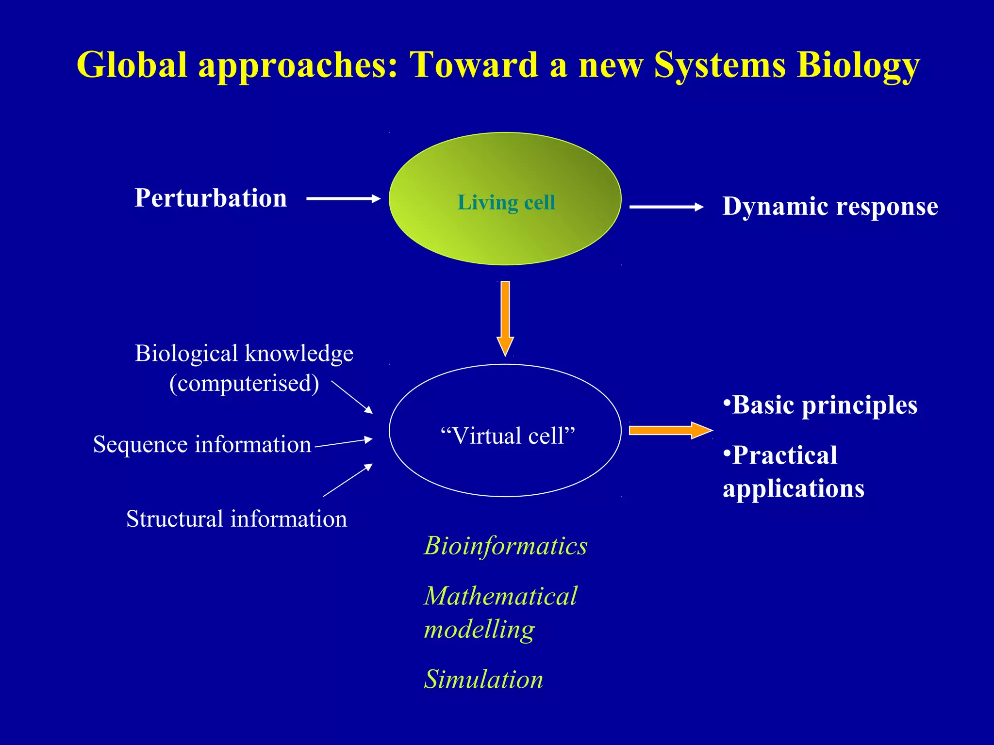 Global approaches: Toward a new Systems Biology 
Perturbation Living cell 
Dynamic response 
“Virtual cell” 
Biological knowledge 
(computerised) 
Sequence information 
Structural information 
•Basic principles 
•Practical 
applications 
Bioinformatics 
Mathematical 
modelling 
Simulation 
 