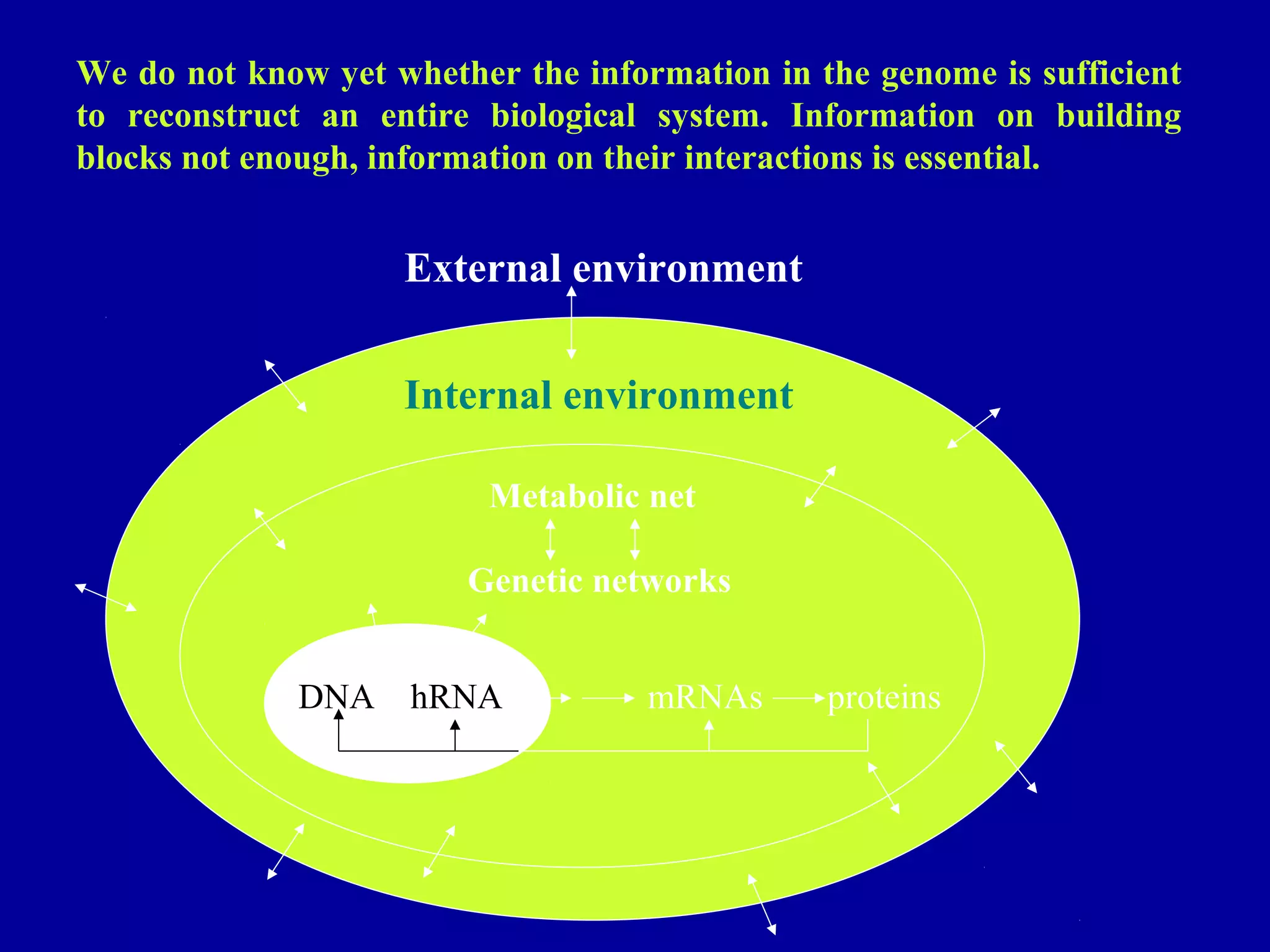 We do not know yet whether the information in the genome is sufficient 
to reconstruct an entire biological system. Information on building 
blocks not enough, information on their interactions is essential. 
External environment 
Internal environment 
Metabolic net 
Genetic networks 
DNA hRNA mRNAs proteins 
 
