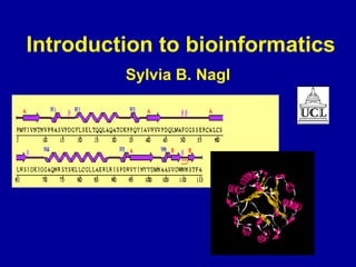 Introduction to bioinformatics 
Sylvia B. Nagl 
 