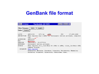 GenBank file format 
 
