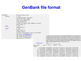 GenBank file format 
 