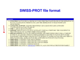 SWISS-PROT file format 
 
