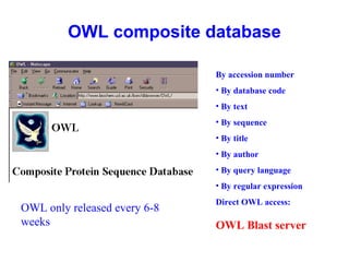 OWL composite database 
OWL only released every 6-8 
weeks 
By accession number 
• By database code 
• By text 
• By sequence 
• By title 
• By author 
• By query language 
• By regular expression 
Direct OWL access: 
OWL Blast server 
 