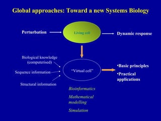 Global approaches: Toward a new Systems Biology 
Perturbation Living cell 
Dynamic response 
“Virtual cell” 
Biological knowledge 
(computerised) 
Sequence information 
Structural information 
•Basic principles 
•Practical 
applications 
Bioinformatics 
Mathematical 
modelling 
Simulation 
 