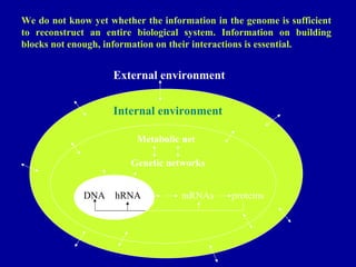 We do not know yet whether the information in the genome is sufficient 
to reconstruct an entire biological system. Information on building 
blocks not enough, information on their interactions is essential. 
External environment 
Internal environment 
Metabolic net 
Genetic networks 
DNA hRNA mRNAs proteins 
 