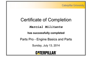 Certificate of Completion
Marcial Militante
has successfully completed
Parts Pro - Engine Basics and Parts
Sunday, July 13, 2014
 