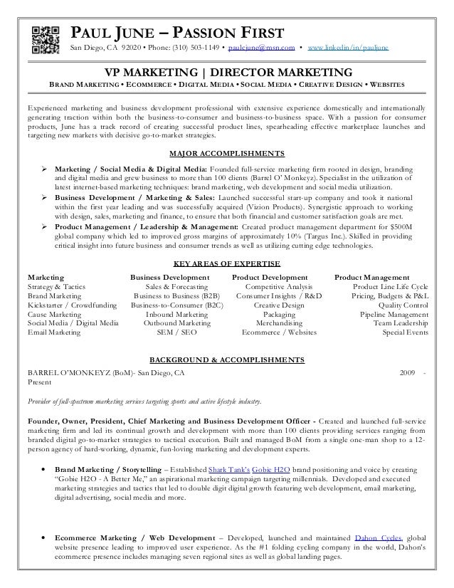 vp marketing resumes kadil carpentersdaughter co president resumes