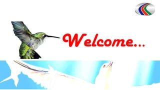 Welcome...
 
