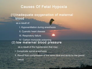 Causes Of Fetal Hypoxia

    (1) Inadequate oxygenation of maternal
        blood
         as a result of:
              I. Hypoventilation during anesthesia
              II. Cyanotic heart disease
              III. Respiratory failure
              IV. Carbon monoxide poisoning
     (2) low maternal blood pressure
             as a result of the hypotension that may:
        I. Complicate spinal anesthesia
        II. Result from compression of the vena cava and aorta by the gravid
             uterus

05/26/2010                  Khorfakkan Hospital Pediatric Department
                                                            9
 