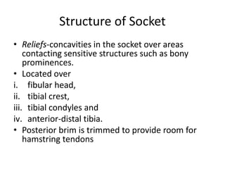 Structure of Socket
• Reliefs-concavities in the socket over areas
contacting sensitive structures such as bony
prominences.
• Located over
i. fibular head,
ii. tibial crest,
iii. tibial condyles and
iv. anterior-distal tibia.
• Posterior brim is trimmed to provide room for
hamstring tendons
 