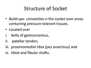 Structure of Socket
• Build-ups- convexities n the socket over areas
contacting pressure-tolerant tissues.
• Located over
i. belly of gastrocnemius,
ii. patellar tendon,
iii. proximomedial tibia (pes anserinus) and
iv. tibial and fibular shafts.
 