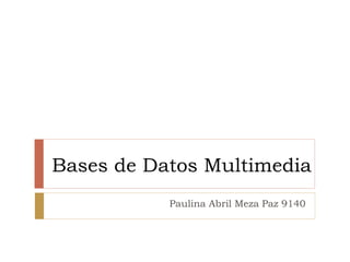 Bases de Datos Multimedia
Paulina Abril Meza Paz 9140
 