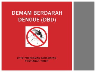 UPTD PUSKESMAS KECAMATAN
PONTIANAK TIMUR
DEMAM BERDARAH
DENGUE (DBD)
 
