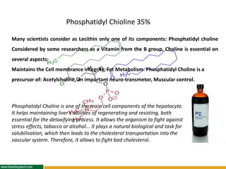 Many scientists consider as Lecithin only one of its components: Phosphatidyl choline
Considered by some researchers as a Vitamin from the B group, Choline is essential on
several aspects:
Maintains the Cell membrance integrity, Fat Metabolism. Phosphatidyl Choline is a
precursor of: Acetylcholine, an important neuro-transmetor, Muscular control.
Phosphatidyl Chioline 35%
Phosphatidyl Choline is one of the main cell components of the hepatocyte.
It helps maintaining liver's abilities of regenerating and resisting, both
essential for the detoxifying process. It allows the organism to fight against
stress effects, tabacco or alcohol... It plays a natural biological and task for
solubilisation, which then leads to the cholesterol transportation into the
vascular system. Therefore, it allows to fight bad cholesterol.
 