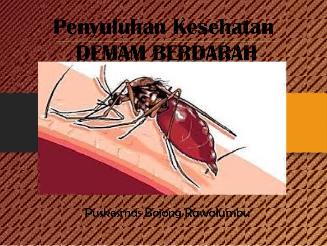 Dbd Puskesmas Bojong Rawalumbu