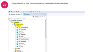 28
You will be able to view your databases and the tables inside each database
 