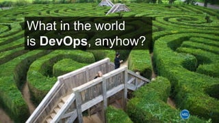 12
What in the world
is DevOps, anyhow?
 