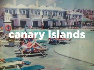 canary islands
 