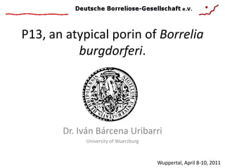P13, an atypical porin of Borrelia
          burgdorferi.




       Dr. Iván Bárcena Uribarri
            University of Wuerzburg



                                      Wuppertal, April 8-10, 2011
 