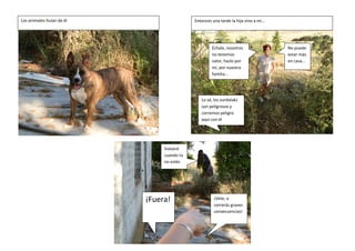 Los animales huían de él Entonces una tarde la hija vino a mí…
No puede
estar más
en casa…
Lo sé, los vurdalaks
son peligrosos y
corremos peligro
aquí con él
Échale, nosotros
no tenemos
valor, hazlo por
mi, por nuestra
familia…
¡Vete, o
correrás graves
consecuencias!
Volveré
cuando tú
no estés
¡Fuera!